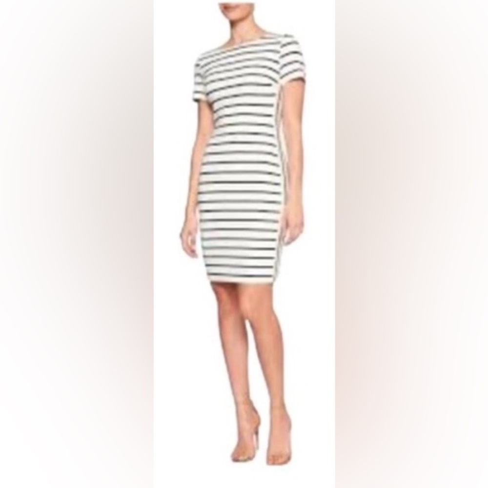 Banana Republic Black and White Striped Fully Lined Dress